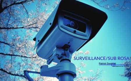 pginv surveillance sub rosa
